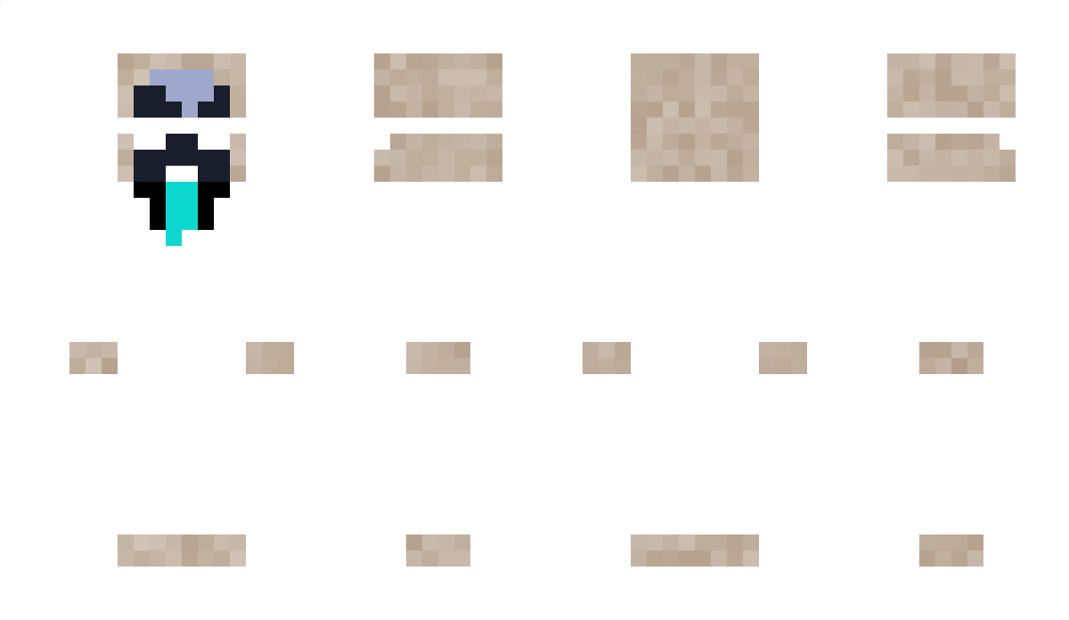 sr10 Minecraft Skin