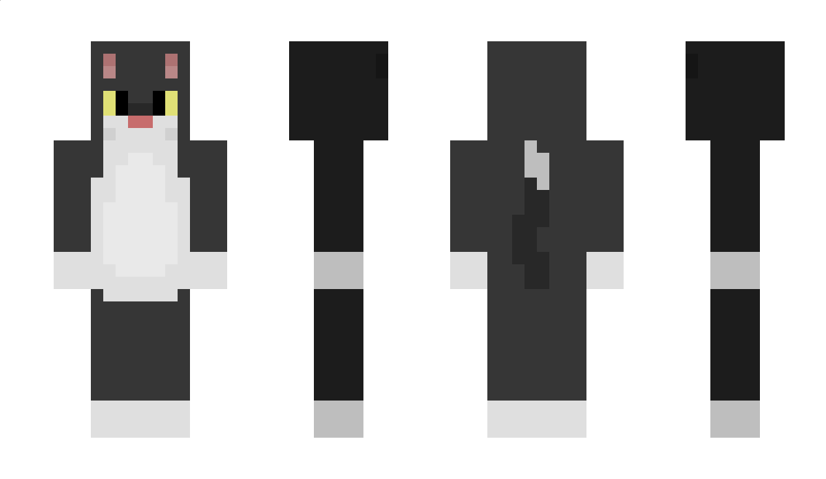 Brayden Minecraft Skin