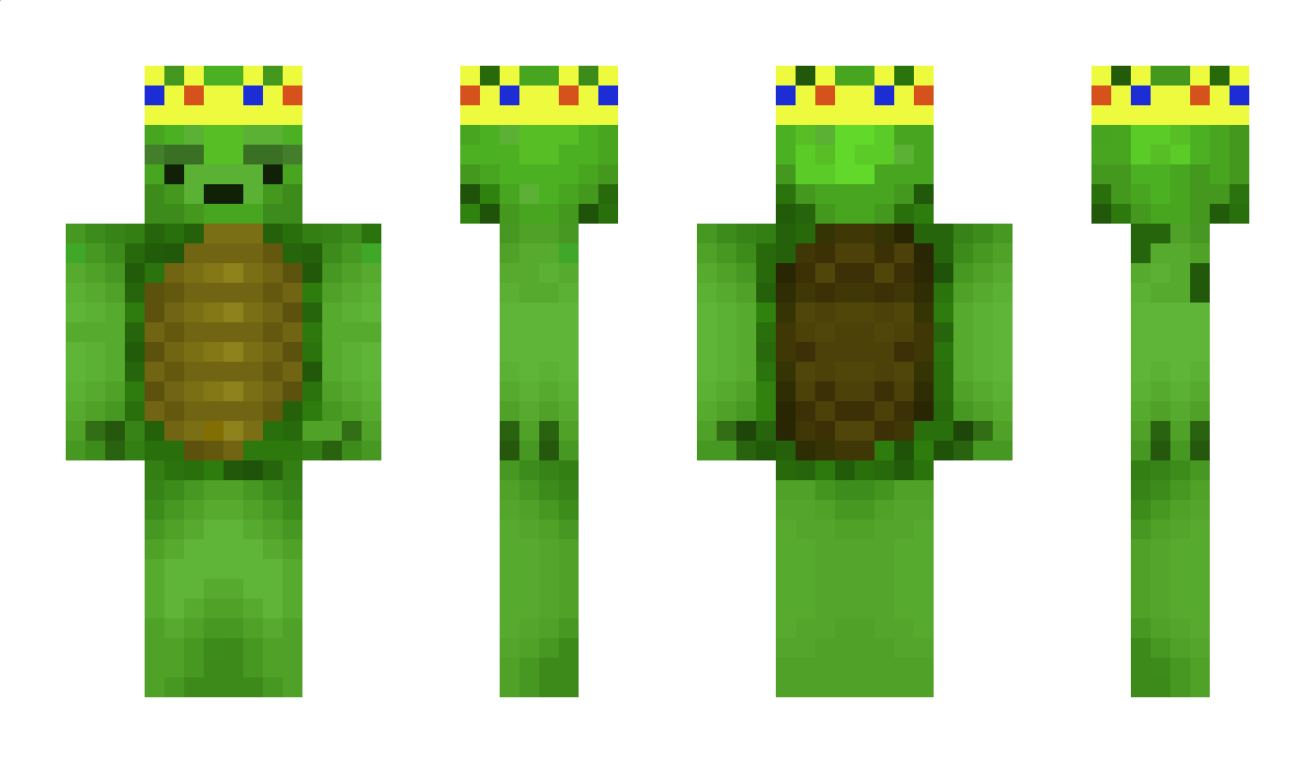 TurtleKing45 Minecraft Skin