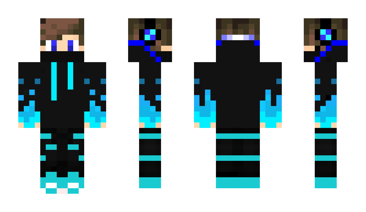 Swordsealer Minecraft Skin