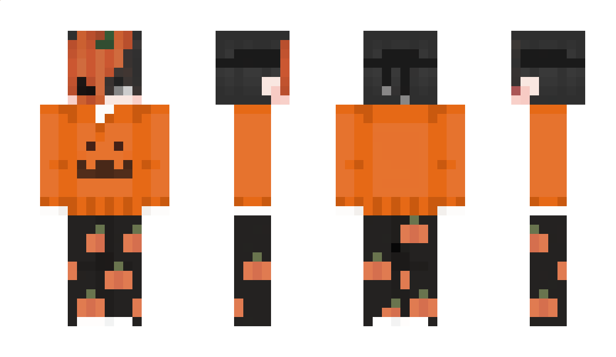 z900xd Minecraft Skin