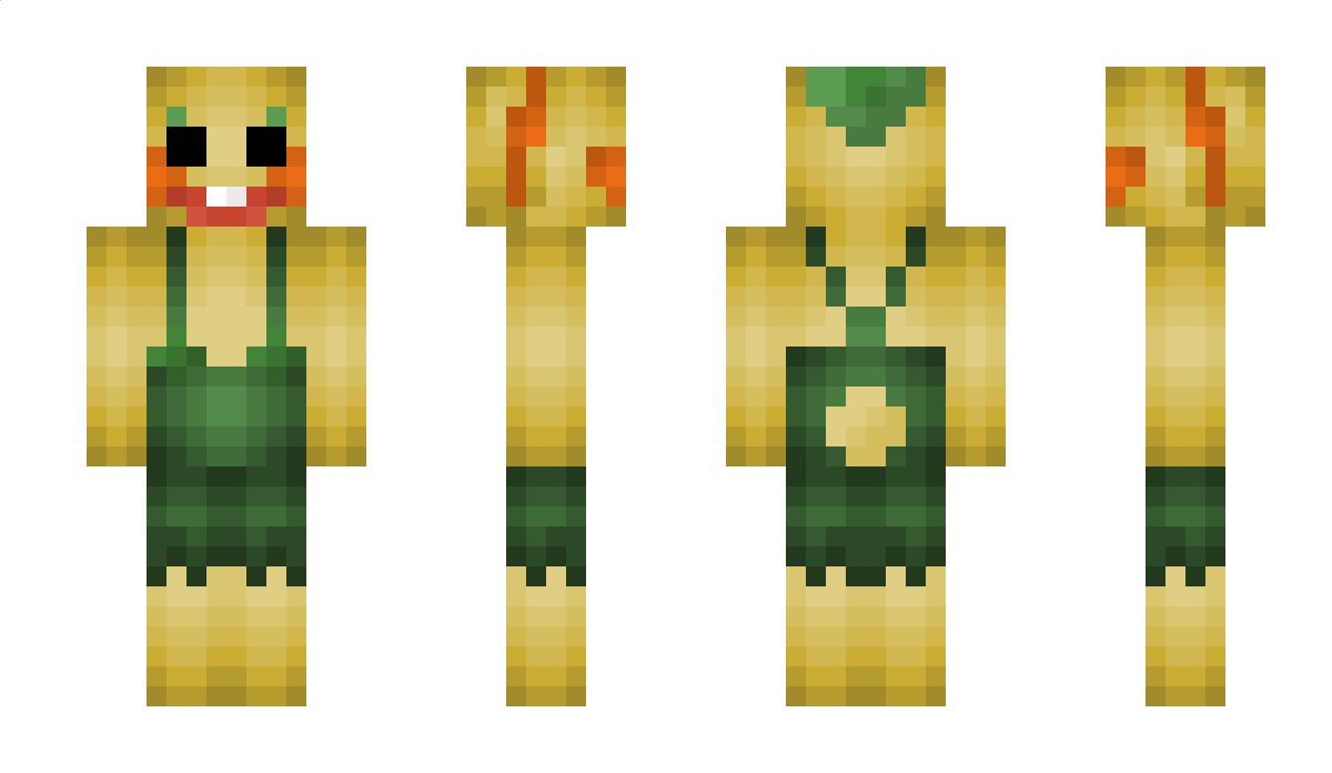 dcook1132 Minecraft Skin