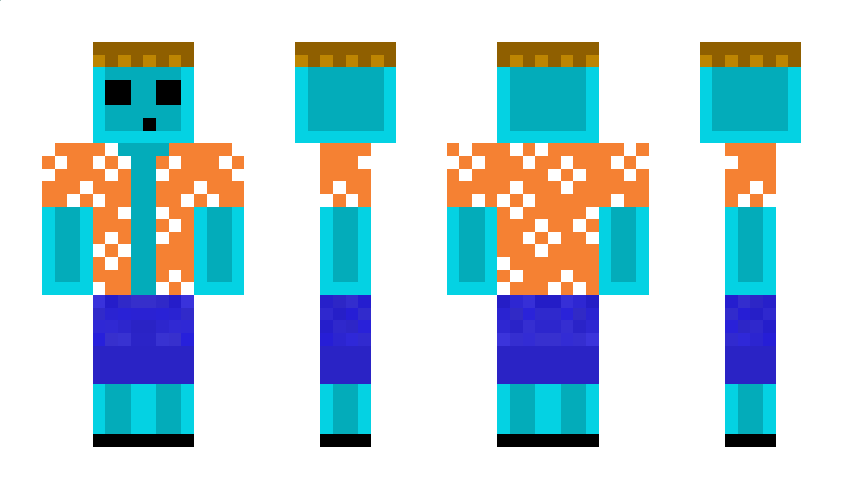 Leika_20O Minecraft Skin