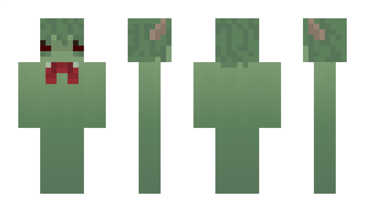 frogtofrogto Minecraft Skin