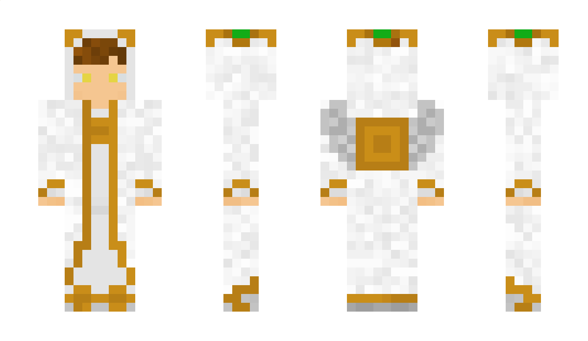 Crafter_LN Minecraft Skin