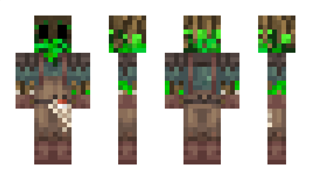 DomiN8 Minecraft Skin