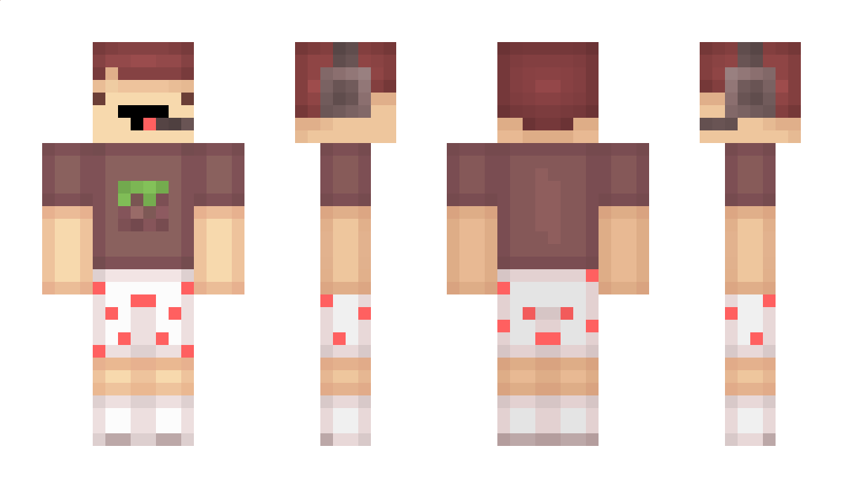 Coleco Minecraft Skin