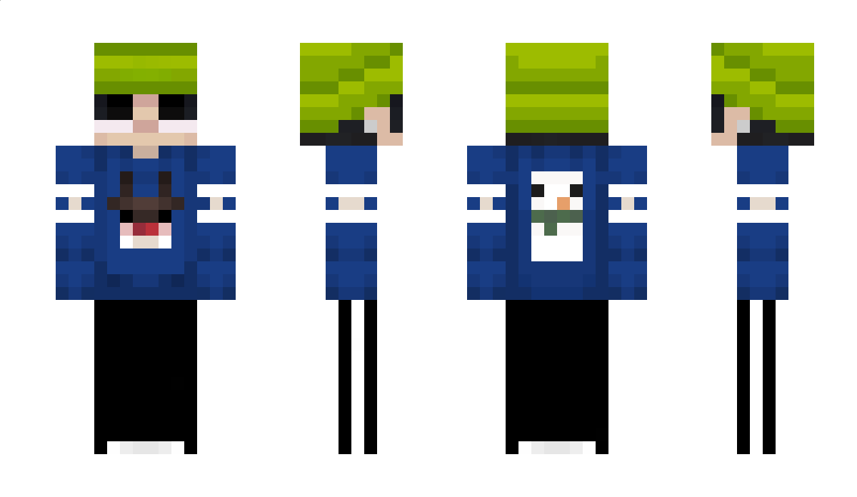 TNMVS Minecraft Skin