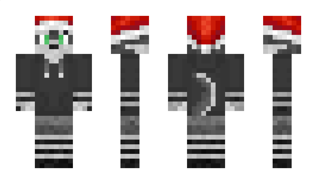 mastaofdisasta11 Minecraft Skin