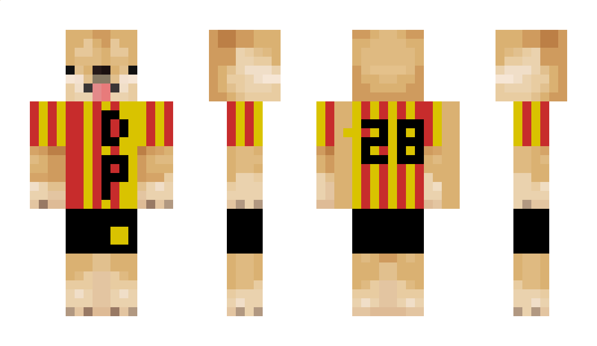 xFachyGz_ Minecraft Skin