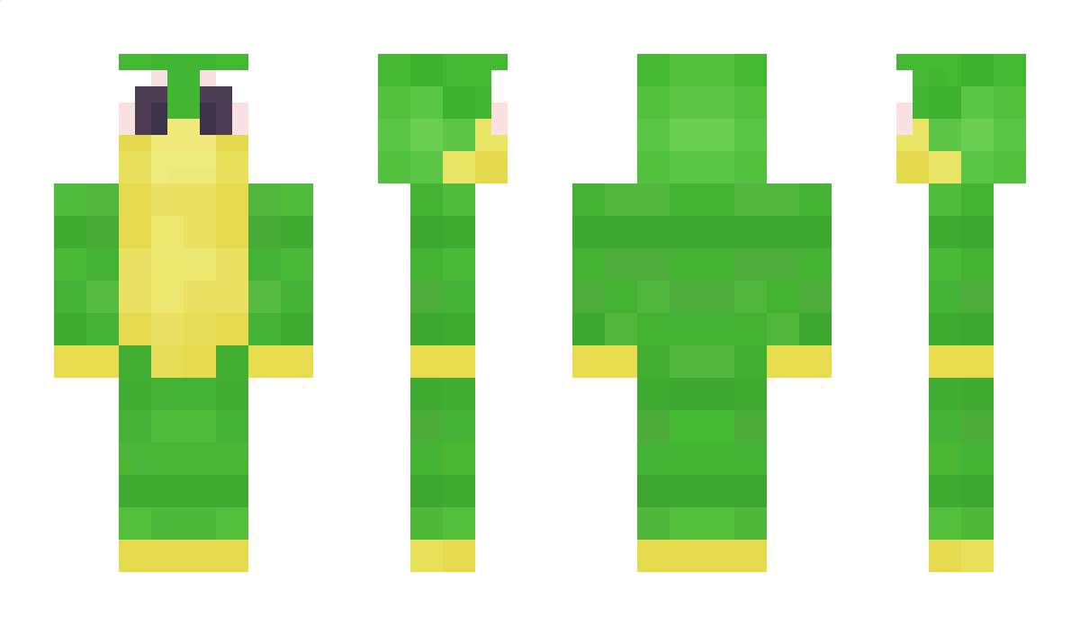 Henney Minecraft Skin