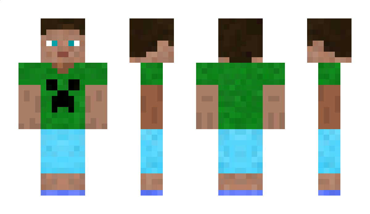 Shipi Minecraft Skin