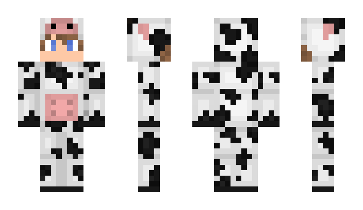 dinosaursock Minecraft Skin