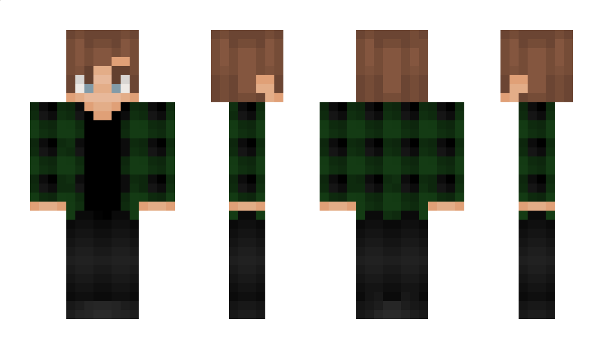 PoypleToytleKing Minecraft Skin