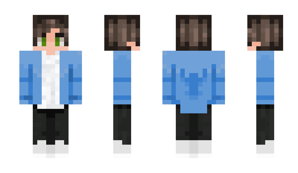 fsadf Minecraft Skin