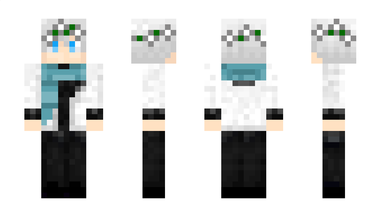 winterllama0330 Minecraft Skin