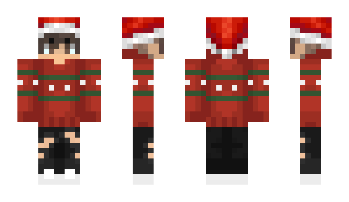 AEHM Minecraft Skin