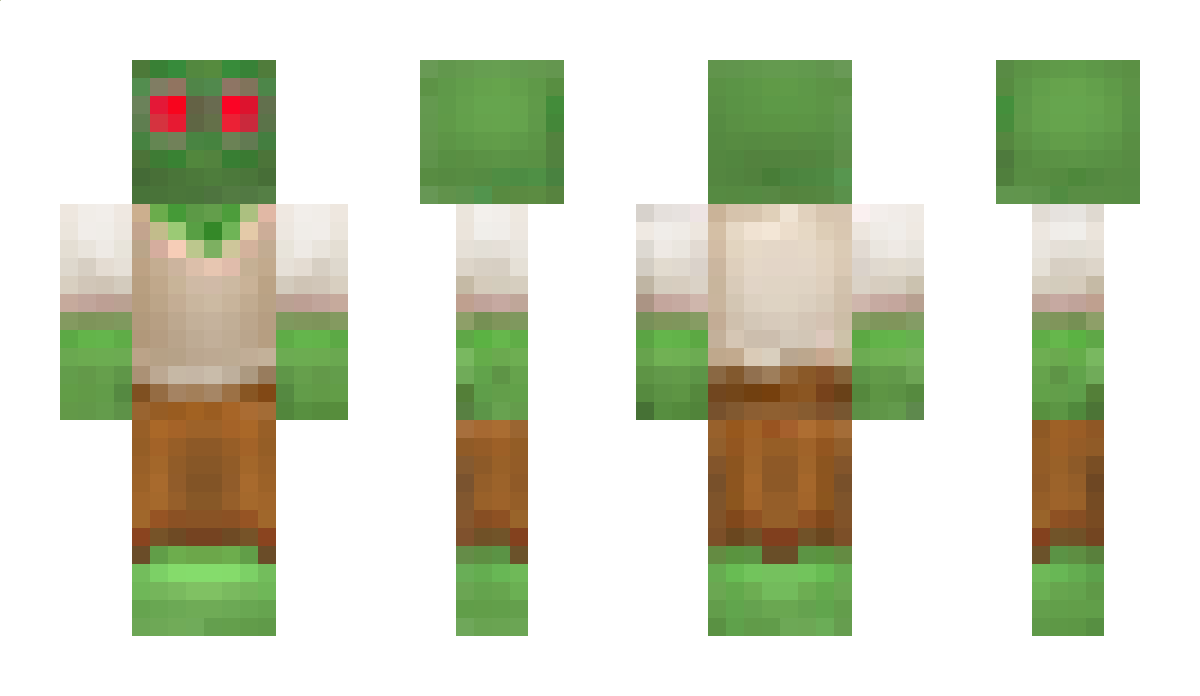 Abonnieren Minecraft Skin