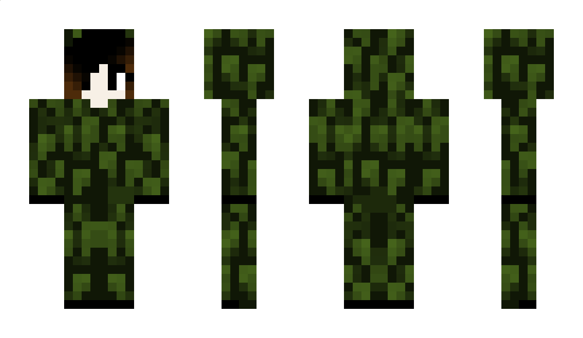 Leafpool Minecraft Skin