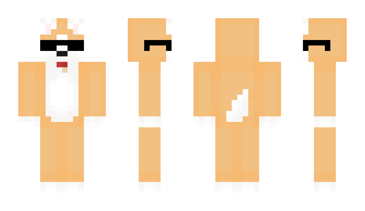 Ahoyim Minecraft Skin