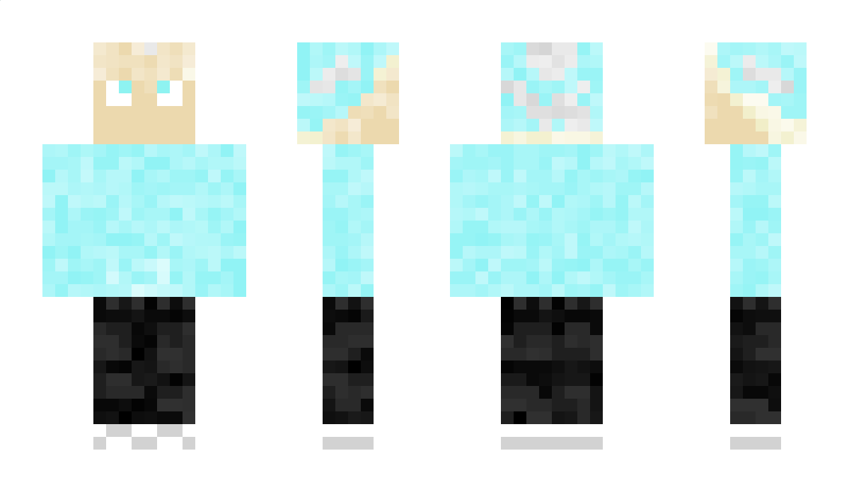 EHEE08 Minecraft Skin