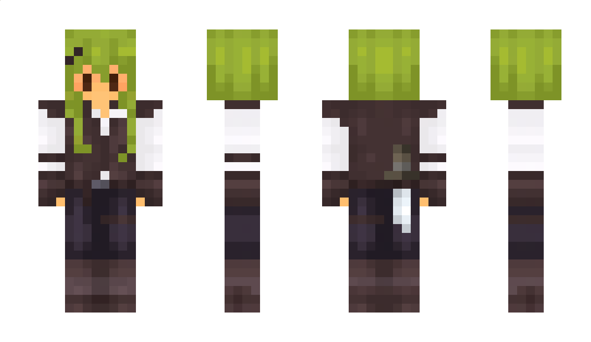 fourturtles Minecraft Skin