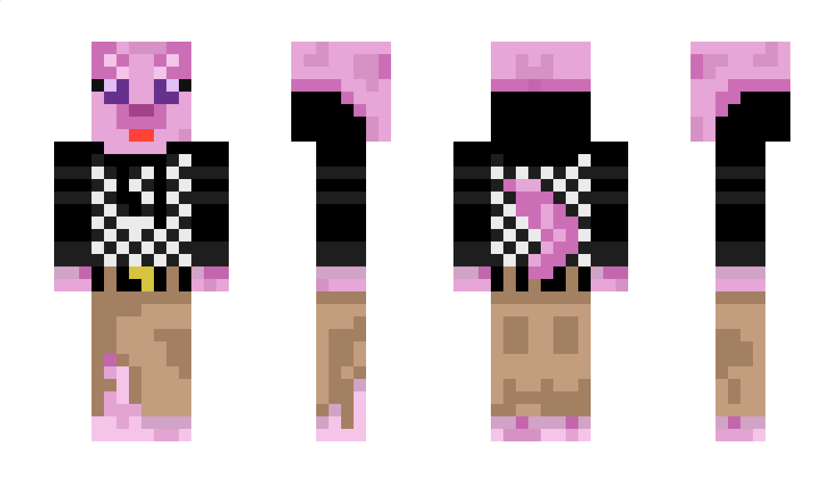 T0RtleDUV Minecraft Skin