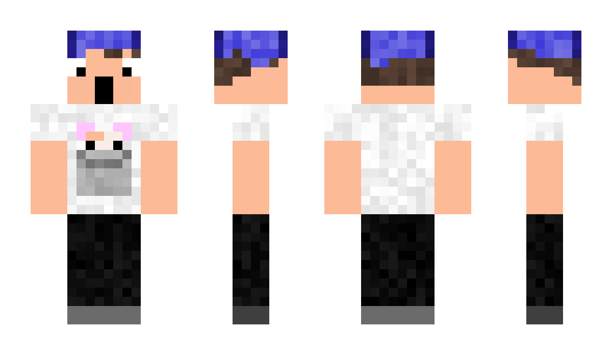 Stilldhm Minecraft Skin