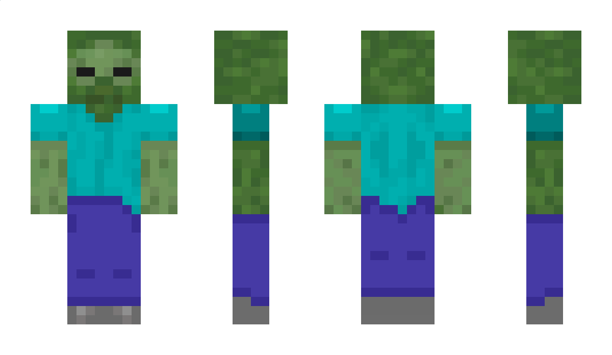 zizonwindymaster Minecraft Skin