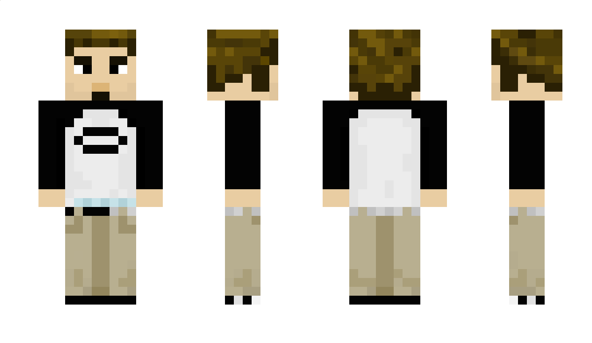 C818 Minecraft Skin