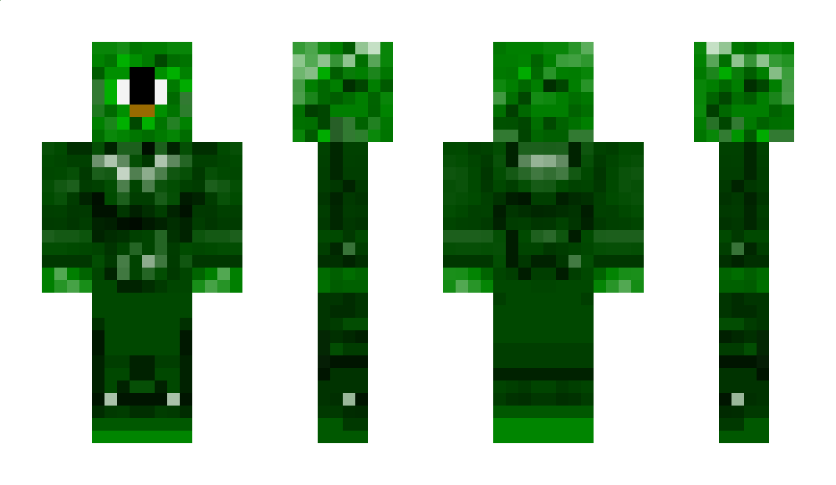 camrea Minecraft Skin