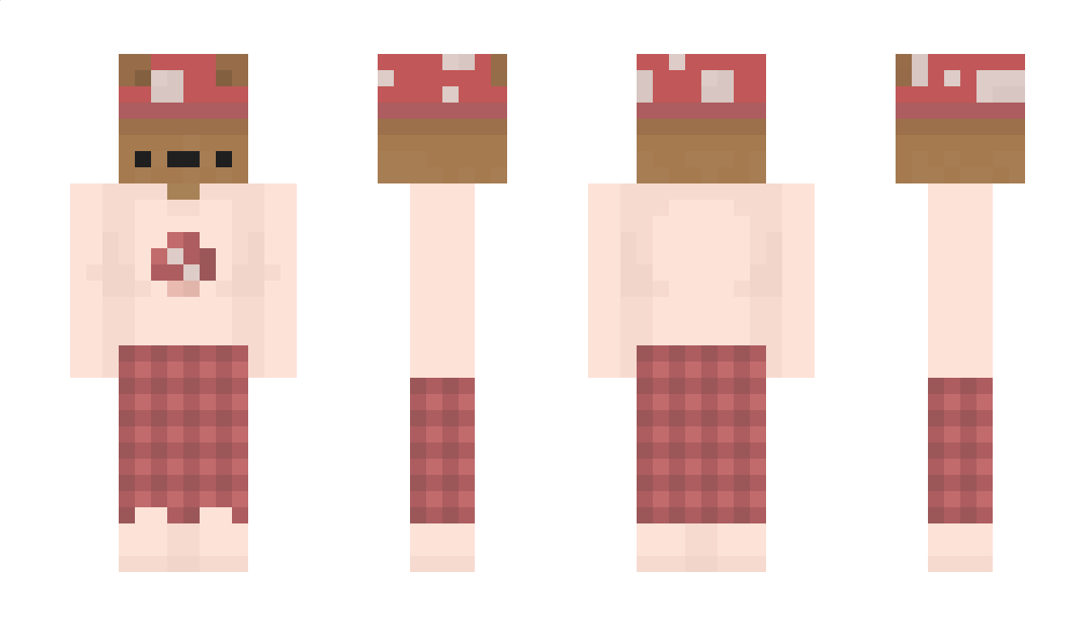 Misioq Minecraft Skin