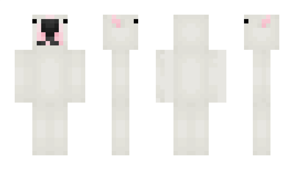 enthusiast Minecraft Skin