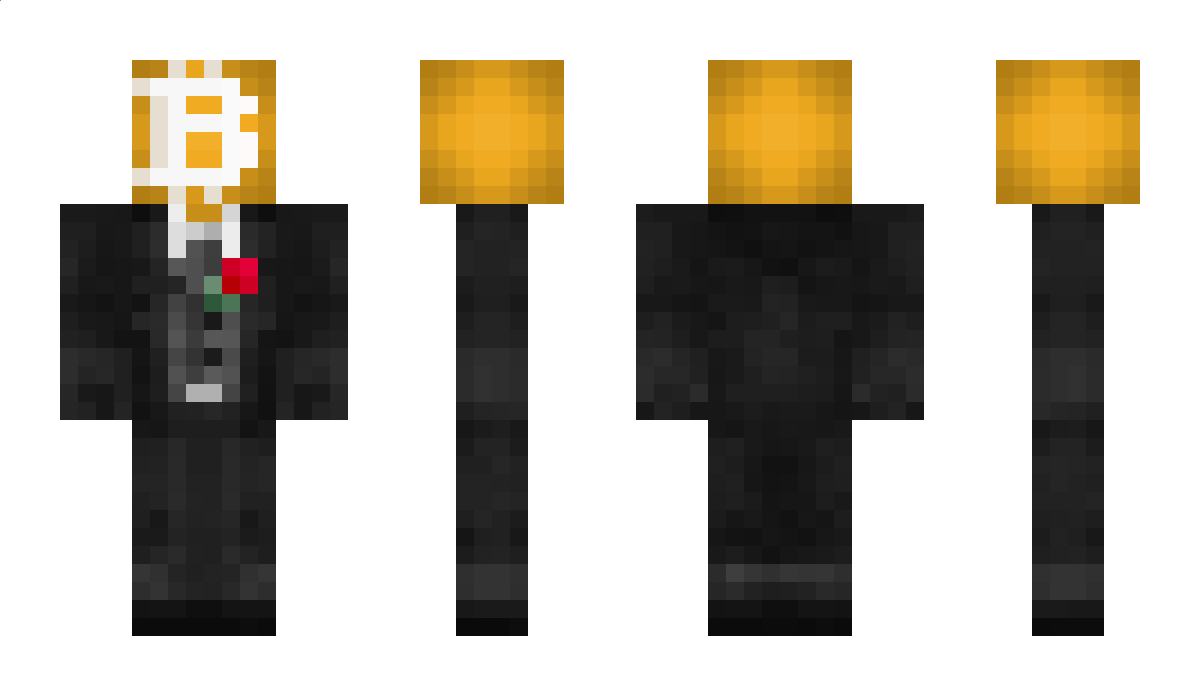 shinyflvres_ Minecraft Skin