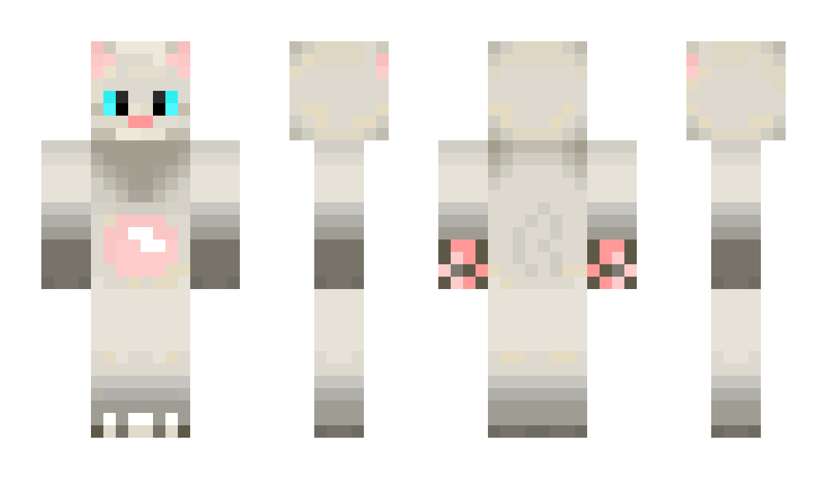 dictionary_ Minecraft Skin