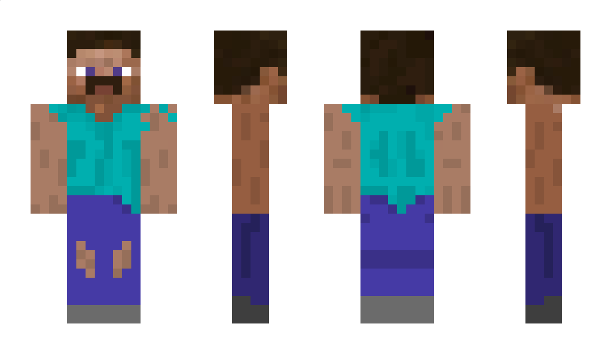 AntiSteve20 Minecraft Skin