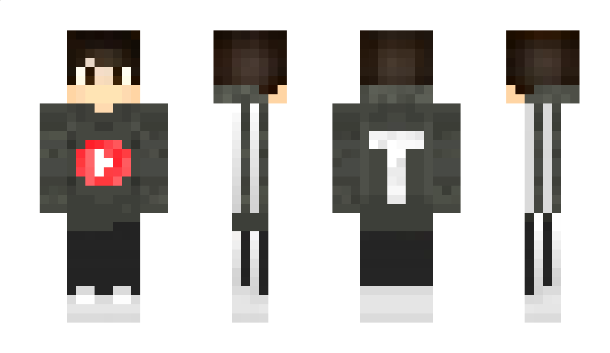 TomerThe_Gamer Minecraft Skin