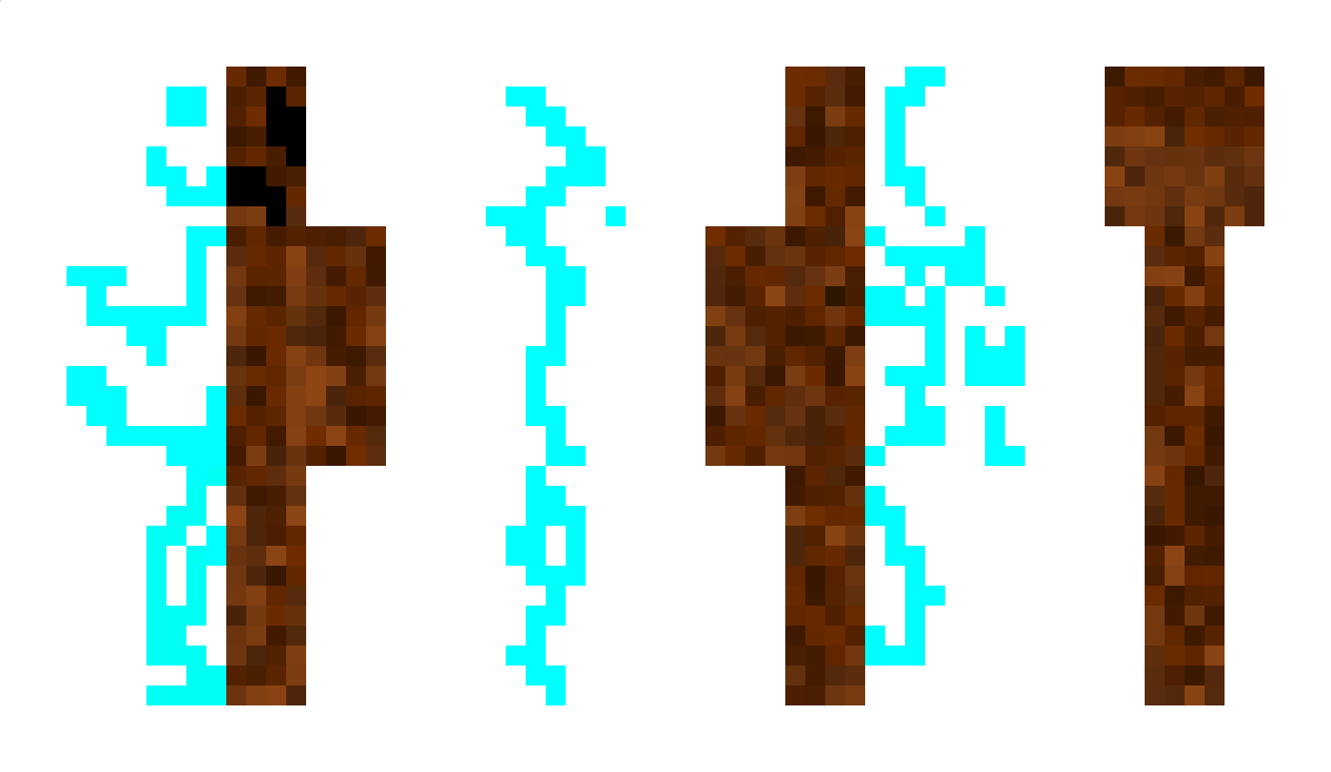 LeNo1613 Minecraft Skin