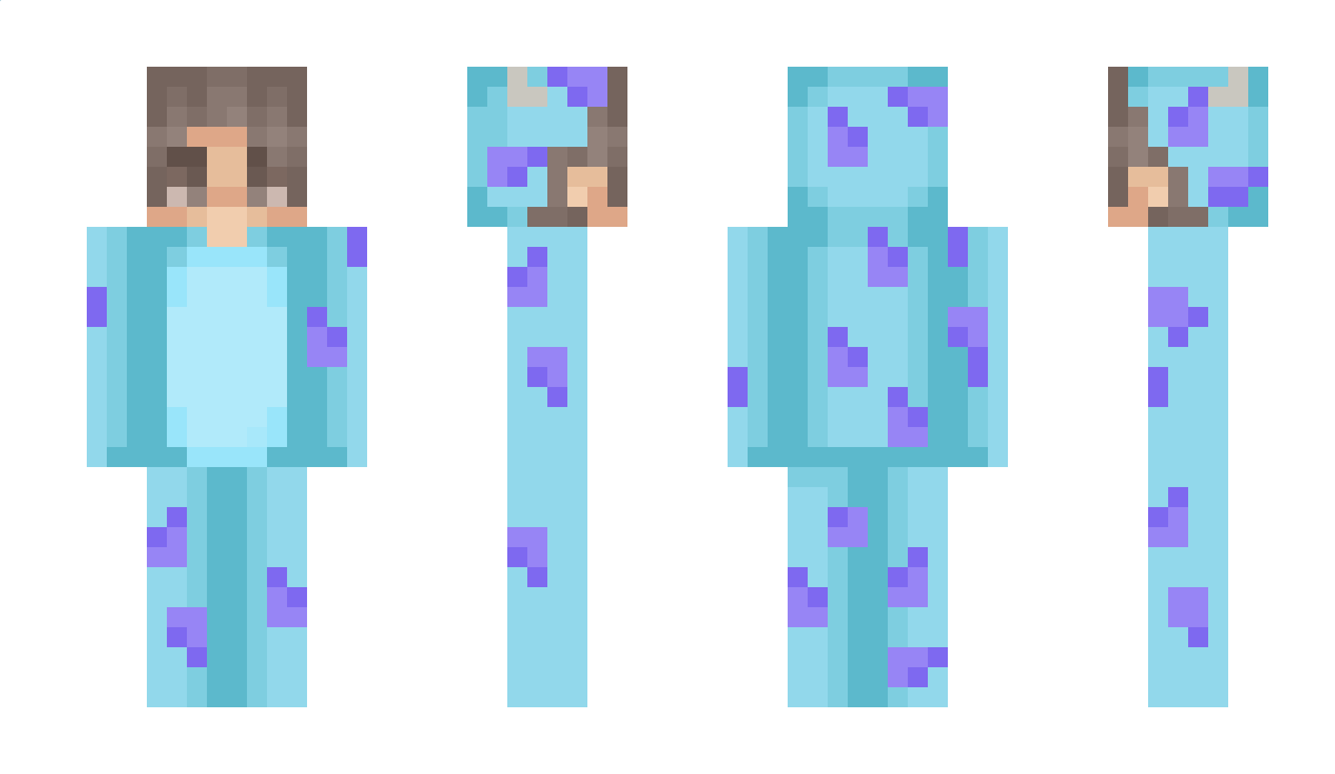 jis Minecraft Skin