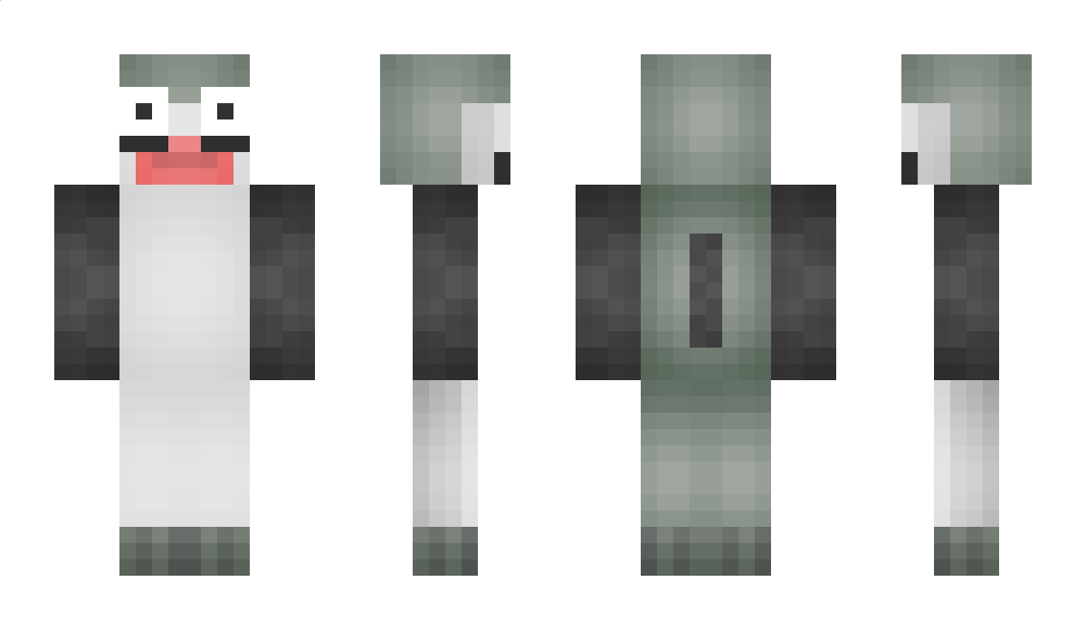 Ojskin Minecraft Skin