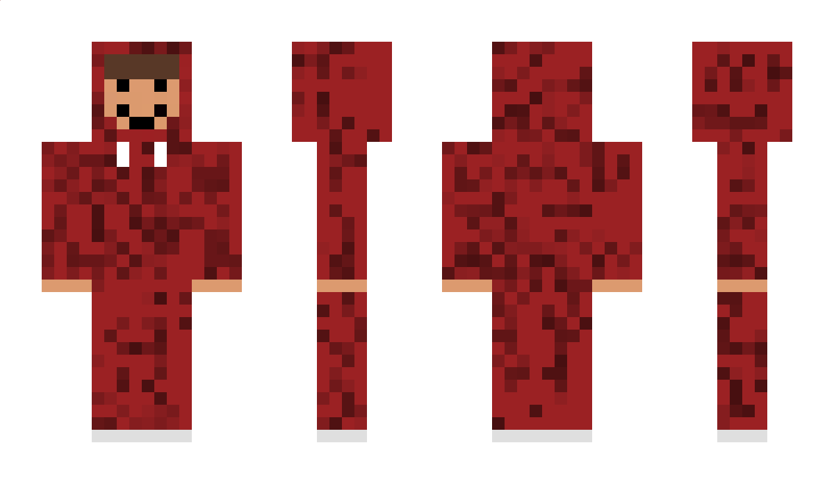 H4RRY_YT Minecraft Skin