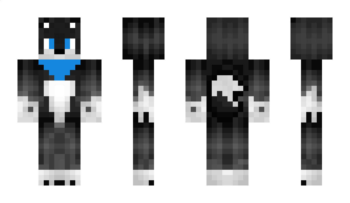 FRENCIJ12 Minecraft Skin