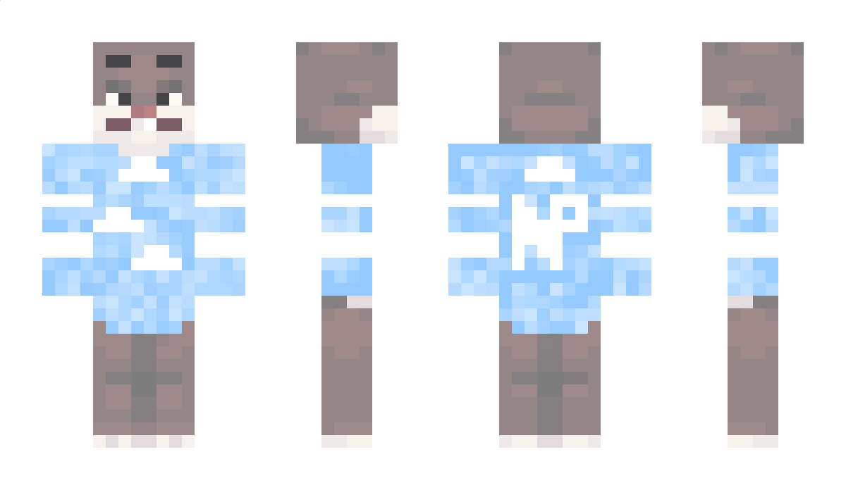 NarwalPower Minecraft Skin