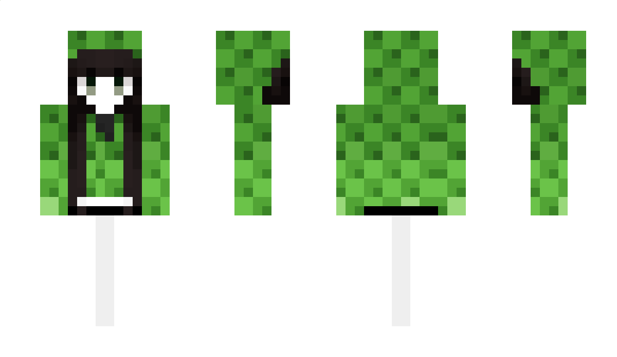 LowOrbitCanon Minecraft Skin