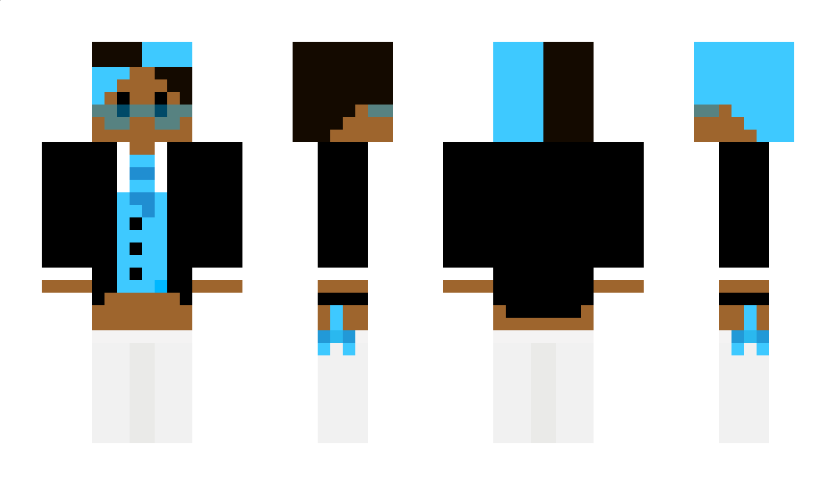 Platinum_Arry Minecraft Skin