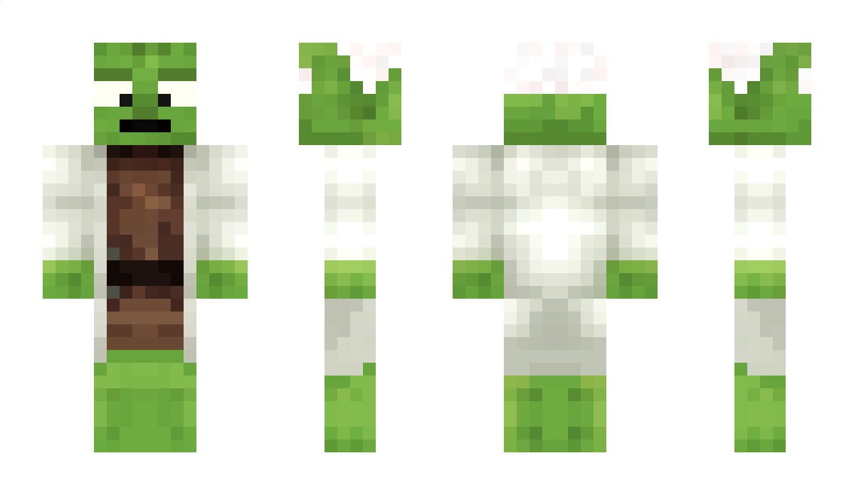 Yoda_du_16 Minecraft Skin