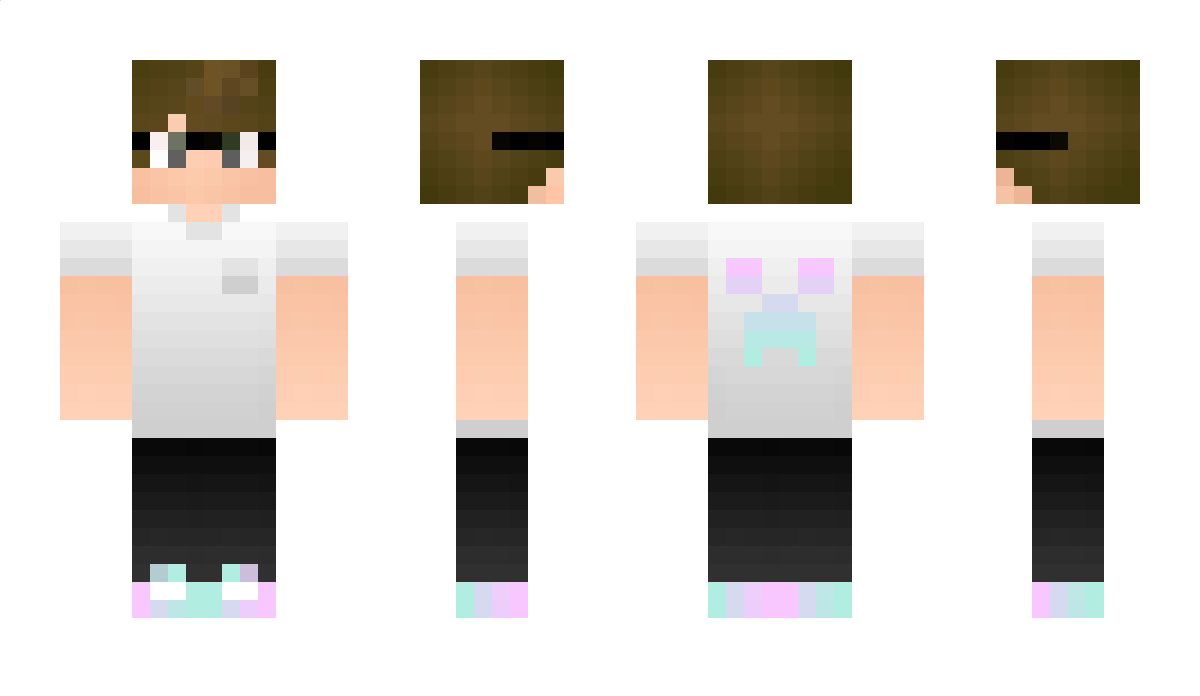 Eijtrooper Minecraft Skin