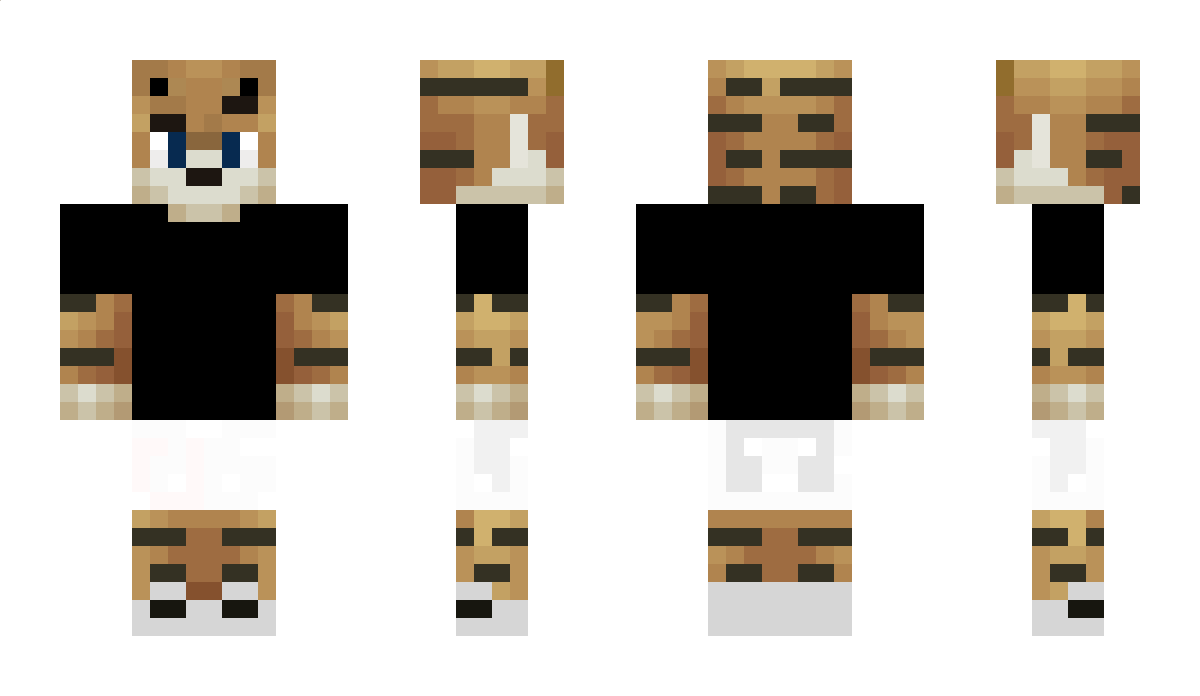 franik856 Minecraft Skin