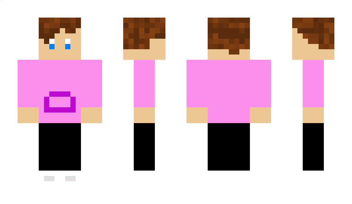 PellaajaT Minecraft Skin