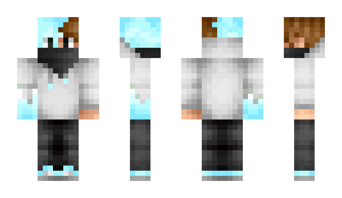 6n9 Minecraft Skin